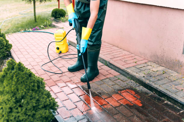 Best Solar Panel Cleaning  in Wamac, IN
